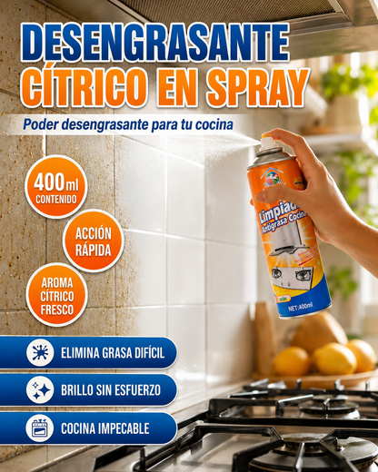 B -  ESPUMA ANTI GRASA NARANJA